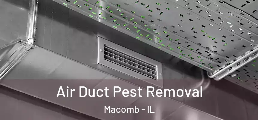  Air Duct Pest Removal Macomb - IL