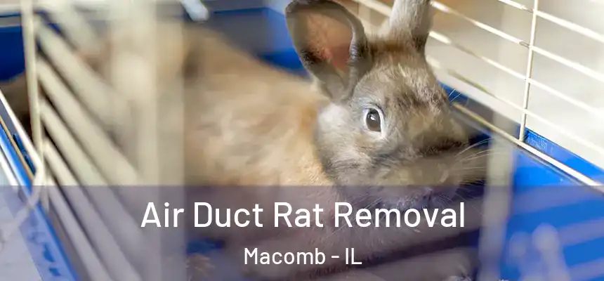  Air Duct Rat Removal Macomb - IL