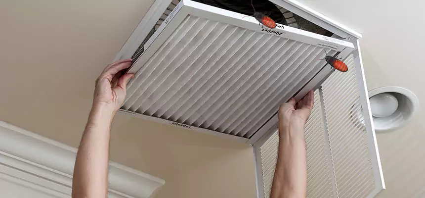 Preventive Cockroach-Proofing for Ducts in Macomb