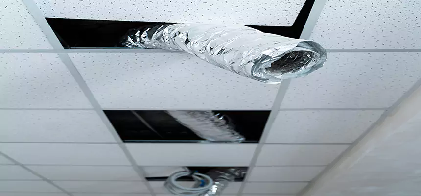 Affordable HVAC Sanitizing After Pest Removal in Macomb