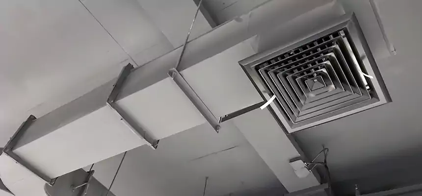 Restorative Allergy Relief Vent Cleaning – Coil, Blower & Housing Detail in Macomb