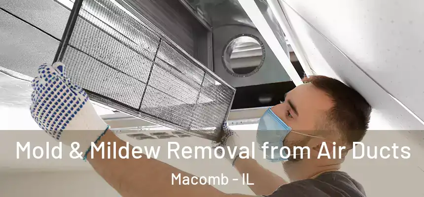 Mold & Mildew Removal from Air Ducts Macomb - IL