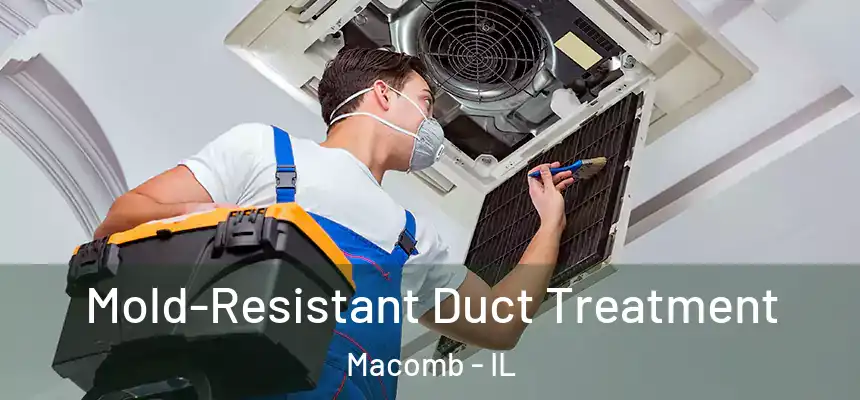  Mold-Resistant Duct Treatment Macomb - IL