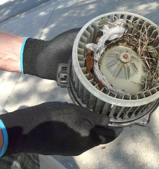 About Air Duct Mice Removal in Macomb, IL