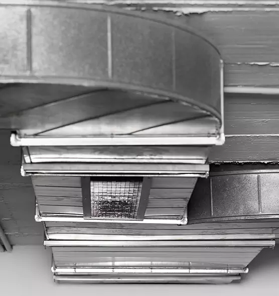 Professional Air Duct Pest Removal in Macomb, IL