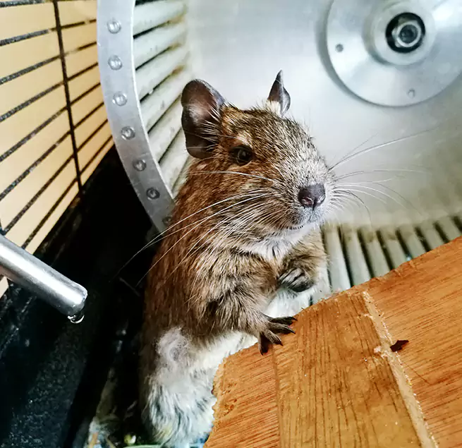 Why Homeowners & Businesses Trust Us Macomb, IL?